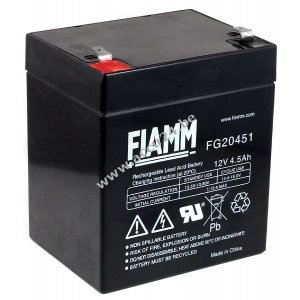 FIAMM Blei Accu, Vervang Accu compatible met COMPAQ R5500XR HPC-R5500XR AGM Noodstroom UPS