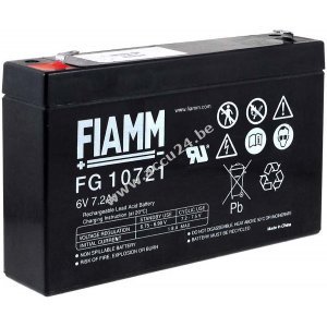FIAMM Loodbatterij FG10721