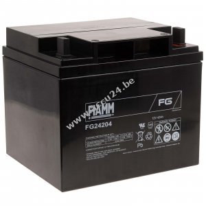 FIAMM Loodbatterij FG24204 Vds