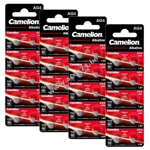 40x Camelion knoopcel LR66 / AG4 / G4 / LR626 / 177 / SR626W / GP77A / 377