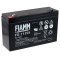 FIAMM Loodbatterij FG11201 Vds