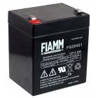 FIAMM Blei Accu, Vervang Accu compatible met COMPAQ R5500XR HPC-R5500XR AGM Noodstroom UPS