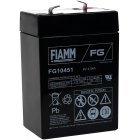 FIAMM Loodaccumulator FG10451