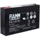 FIAMM Loodbatterij FG10721