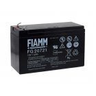 FIAMM Loodbatterij FG20721 Vds